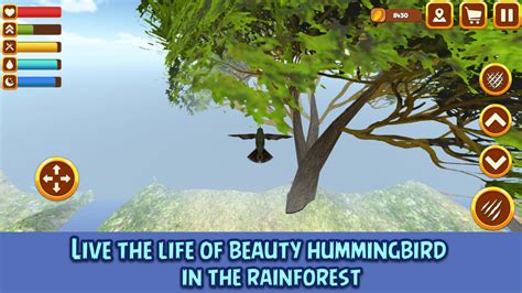 hummingbird game zoe apk|Hummingbird Simulator 3D: Bird Life 4+ .